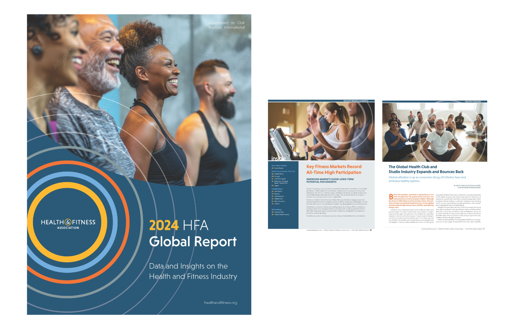 Muestra del informe mundial sobre HFA 2024