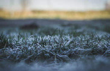 Columna sobre el clima invernal de las instalaciones