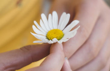 Columna de existencias de flores en mano