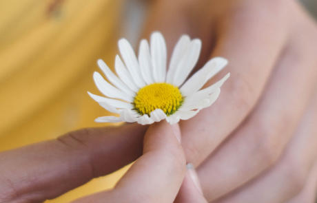 Columna de existencias de flores en mano